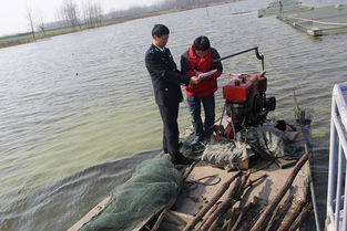 固鎮(zhèn)縣畜牧獸醫(yī)水產(chǎn)局開展冬季安全生產(chǎn)檢查 筑牢畜牧漁業(yè)飼料銷售安全防線